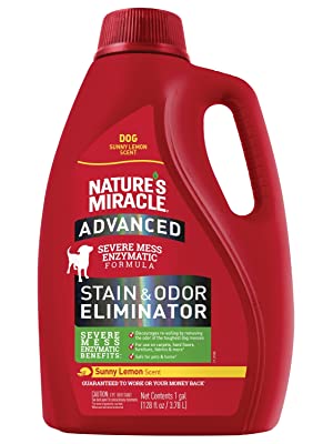 advanced stain and odor eliminator pet stains