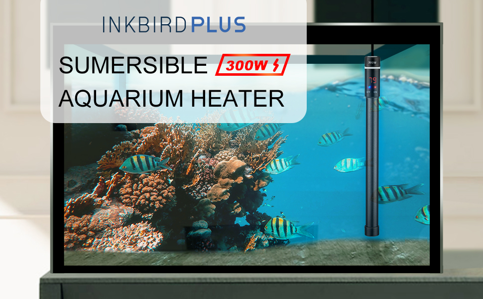 aquarium heater 