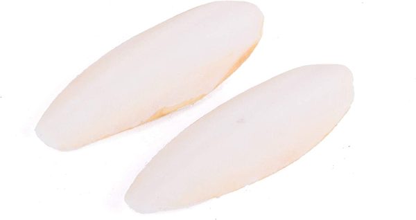 Kazoo Natural Cuttlebone Bird Treat 2 Pack, 2 Count Small