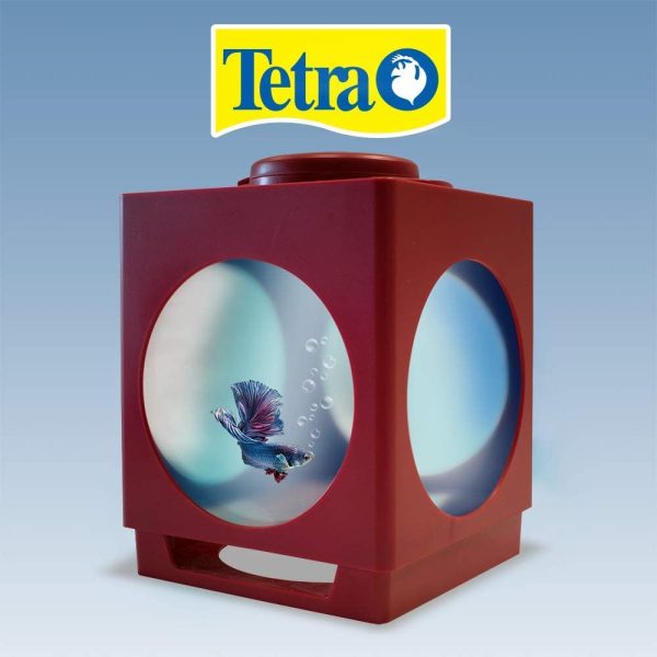 Tetra Betta Projector Fish Tank Designer Aquarium for Betta Fish Bordeaux 1.8L - Image 4