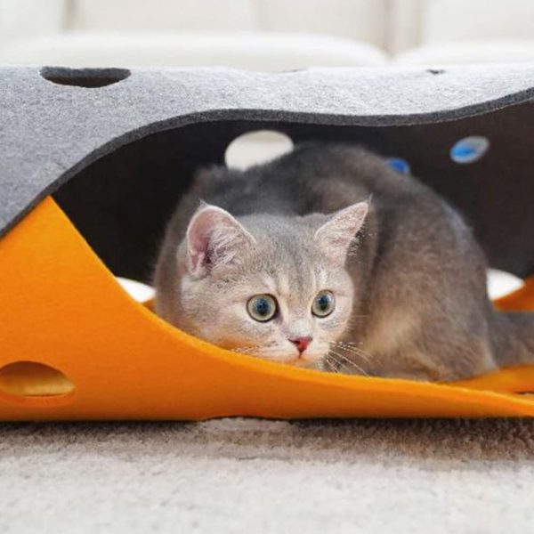 Lifebea Cat Play Tunnel for Indoor Cats - Collapsible Cat Cave Pet Toys, Small Puppy Rabbit Tunnel, Universal Cat Tunnels for Indoor Cats Interactive Toy for Kittens Rabbits Hamsters and Small Animals (Blue) - Image 4