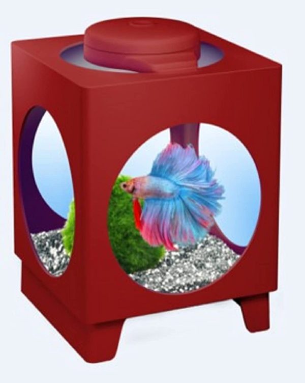 Tetra Betta Projector Fish Tank Designer Aquarium for Betta Fish Bordeaux 1.8L - Image 3