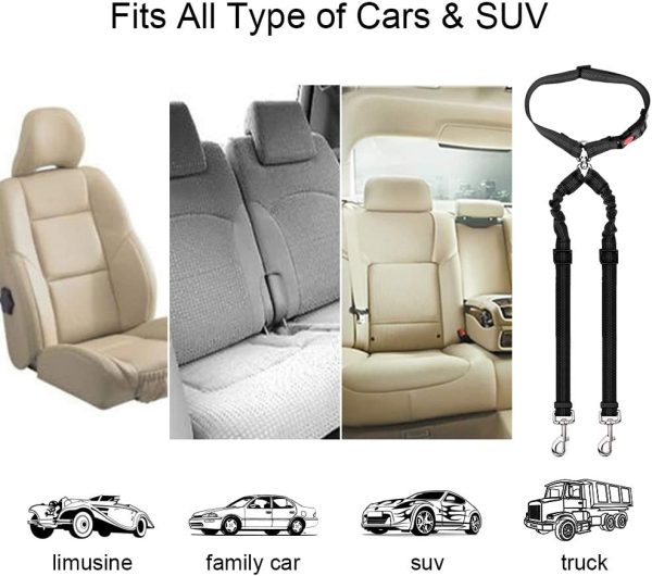 SlowTon Double Dog Seat Belt, New Dual Pet Car Headrest Restraint Safety Seatbelt No Tangle Dog Leash Duty Adjust Elastic Bungee Puppy Lead Splitter Connect Harness in Vehicle Travel for 2 dogs (Black) - Image 6