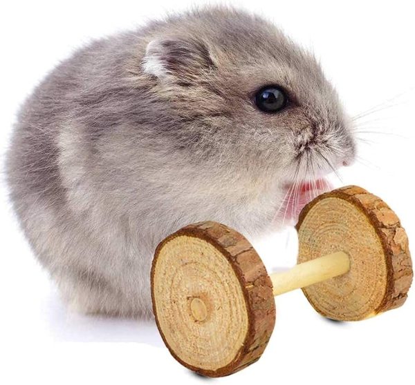 Hamster Chew Toys, Guinea Pig Toys,ChinchillaToys,Rabbits Toys,7 Pack Natural Wooden Pine Accessories Dumbells Exercise Bell Roller Teeth Care Molar Toy for Rats