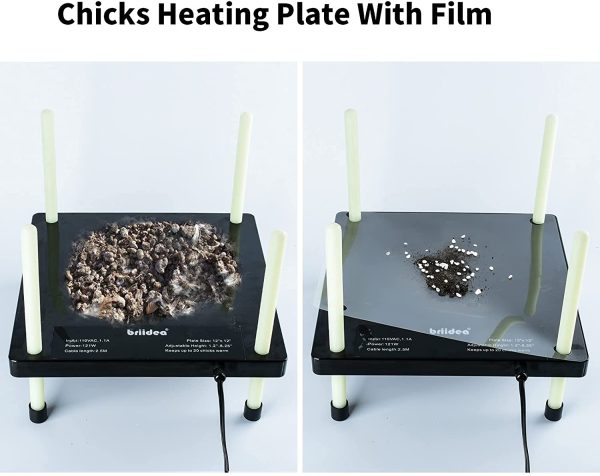 briidea Chicks Heating Plate, 12'' *12'' Chick Brooders with Adjustable Height, Keeps Up to 20 Chicks Warm, 48W, Black - Image 2