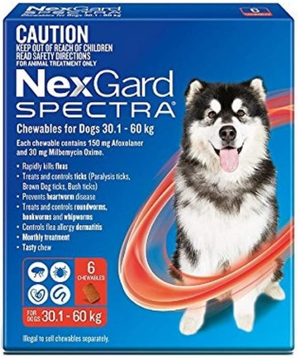 Nexgard Spectra 30.1 - 60kg - 6 Chewable