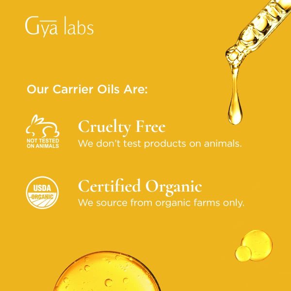 Gya Labs USDA Organic Argan Carrier Oil (3.4 oz) - Moisturizing and Nourishing - Image 4