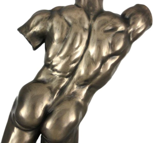 Bronze Finish Nude Male Back Torso Wall Hanging Plaque