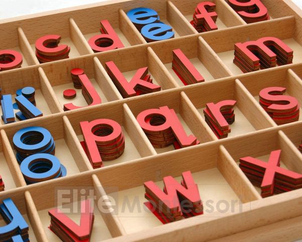 Elite Montessori Wooden Movable Alphabet with Box Preschool Spelling Learning Materials (Red & Blue, 5mm Thick) - Image 2