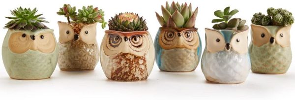 Sun-E 6 in Set Owl Pot Ceramic Flowing Glaze Base Serial Set Succulent Plant Pot Cactus Plant Pot Flower Pot Container Planter Bonsai Pots with A Hole Perfect Gife Idea 2.5 Inch