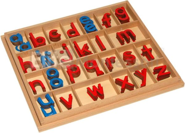 Elite Montessori Wooden Movable Alphabet with Box Preschool Spelling Learning Materials (Red & Blue, 5mm Thick) - Image 3