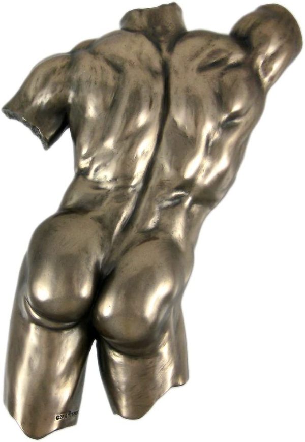 Bronze Finish Nude Male Back Torso Wall Hanging Plaque - Image 4