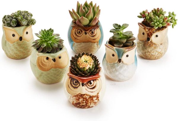 Sun-E 6 in Set Owl Pot Ceramic Flowing Glaze Base Serial Set Succulent Plant Pot Cactus Plant Pot Flower Pot Container Planter Bonsai Pots with A Hole Perfect Gife Idea 2.5 Inch - Image 3