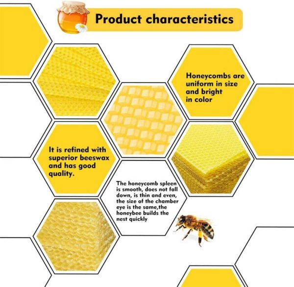 Honeycomb Foundation Sheet Wax Frames Beekeeping Honey Bee Hive Equipment 30PCS - Image 8