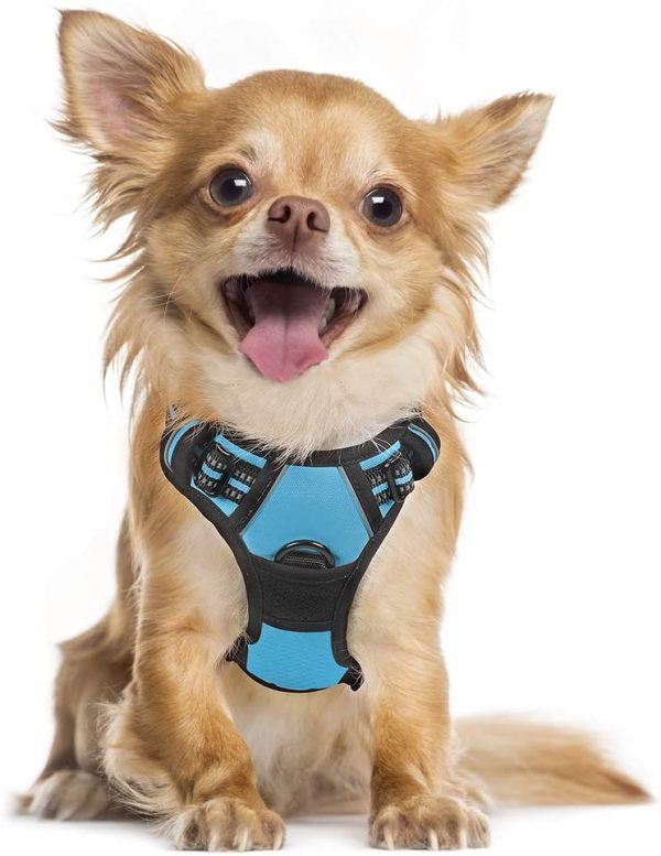 rabbitgoo Dog Harness No-Pull Pet Harness Adjustable Outdoor Pet Vest 3M Reflective Oxford Material Vest for Dogs Easy Control for Small Medium Large Dogs - Image 4