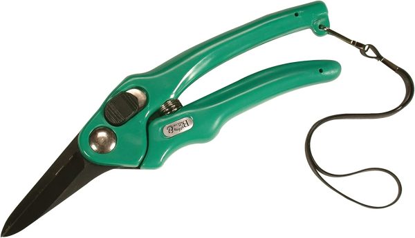 BURGON & BALL FOOTROT SHEARS SUPERSHARP - Image 4