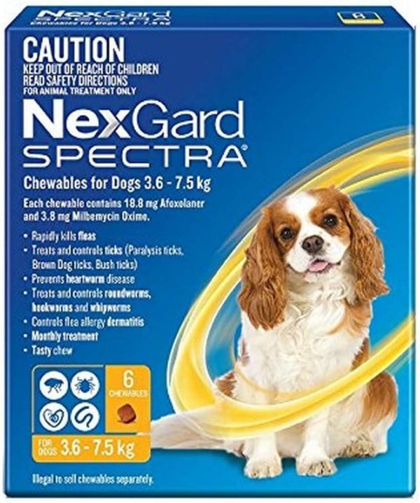 Nexgard Spectra - Flea, Tick and Worming Monthly Chew for 3.6-7.5kg Dog, 6 Pack