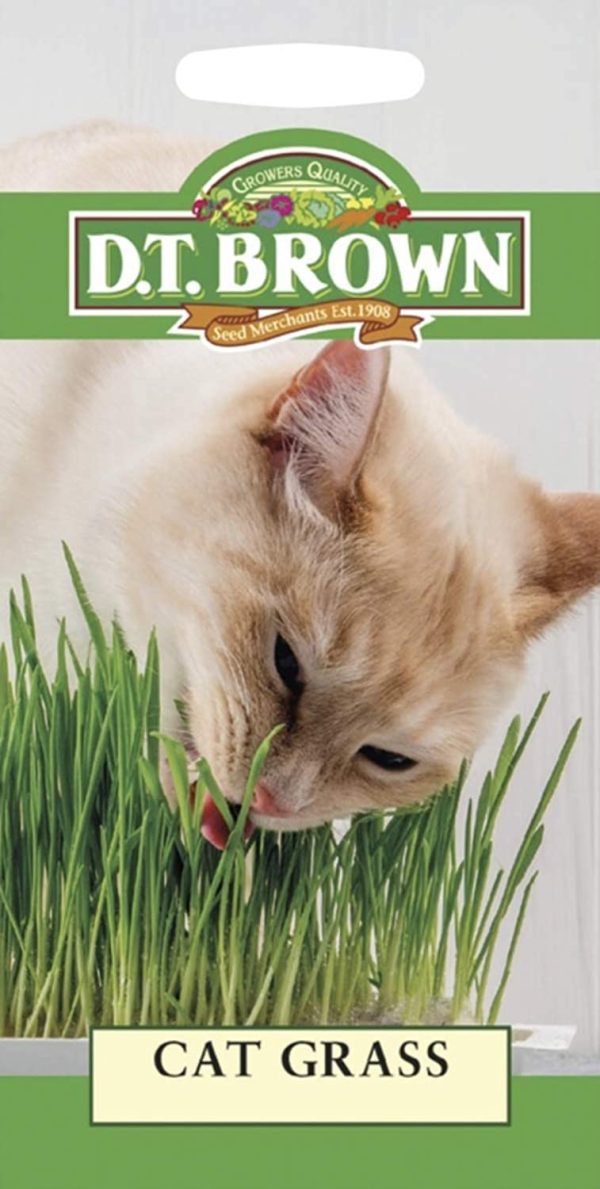 Cat Grass - Image 2