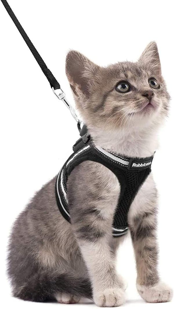 rabbitgoo Cat Harness and Leash for Walking Escape Proof, Reflective Adjustable Soft Mesh Kitten Harness for Extra Small and Small Cats, Step-in Comfortable Choke-Proof Outdoor Vest Harness with 150cm Leash and Metal Clip, Breathable Black - Image 8