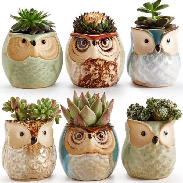 Sun-E 6 in Set Owl Pot Ceramic Flowing Glaze Base Serial Set Succulent Plant Pot Cactus Plant Pot Flower Pot Container Planter Bonsai Pots with A Hole Perfect Gife Idea 2.5 Inch - Image 5