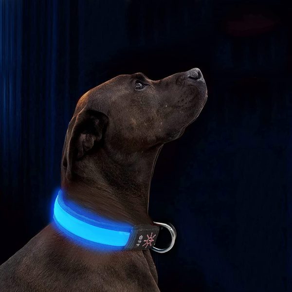 LED Dog Collar Light Up Dog Collar USB Rechargeable Waterproof,Night Dog Band with 3 Glowing Modes,Makes Your Dog Visible, Safe & Seen (Blue, S) - Image 5