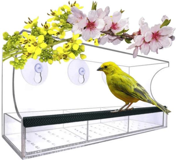 Fun Interactive Outdoors Window Bird Feeder - Clear Hanging - New Third Tray for Water, Fruit and Bird Seeds ?C Easy Clean, Non-Permanent Strong Suction Cups, Drain Holes, Great Gift Idea - Image 3