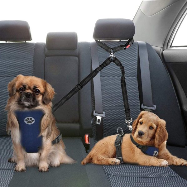 SlowTon Double Dog Seat Belt, New Dual Pet Car Headrest Restraint Safety Seatbelt No Tangle Dog Leash Duty Adjust Elastic Bungee Puppy Lead Splitter Connect Harness in Vehicle Travel for 2 dogs (Black) - Image 2