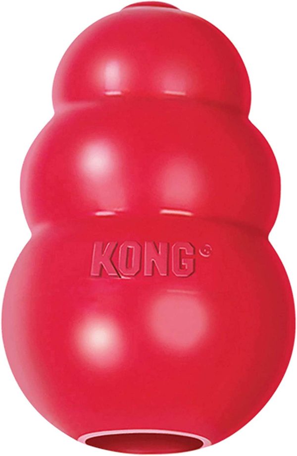 KONG - Classic Dog Toy - Durable Natural Rubber - Fun to Chew, Chase and Fetch - for Small Dogs - Image 7