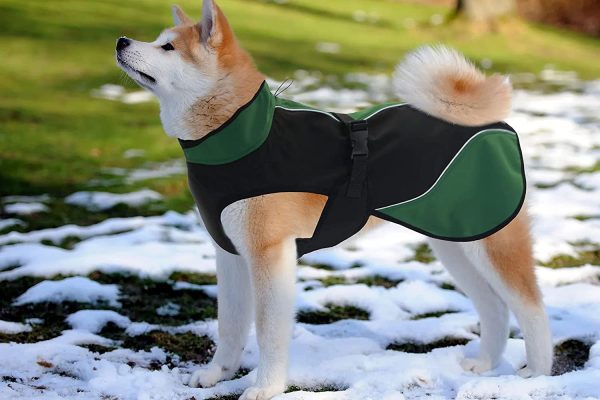 Dog coat,Dog soft shell fleece jacket,Warm wind-proof water and dirt repellent.Breathable moisture wicking easy to care for fast drying stretchy material,Dog Clothes for Small Dogs Boy and Medium Dogs and Large Dogs(X-Small/25CM Back Length) - Image 3