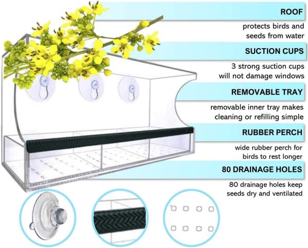 Fun Interactive Outdoors Window Bird Feeder - Clear Hanging - New Third Tray for Water, Fruit and Bird Seeds ?C Easy Clean, Non-Permanent Strong Suction Cups, Drain Holes, Great Gift Idea - Image 4