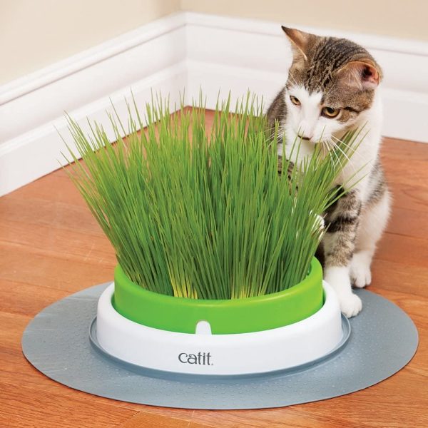 Catit CATT11 Planter Grass Refill,