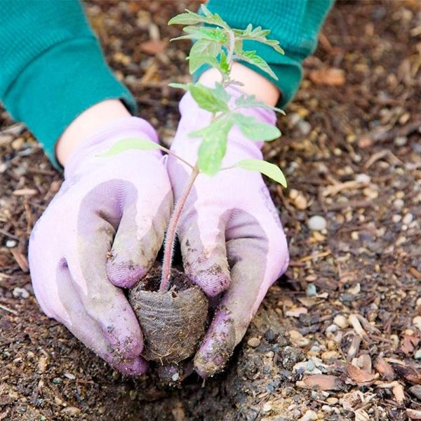 Peat Pellets Seed Starter Soil Plugs for Seedlings Coir Compost Discs Soil Pellet for Seed Propagation Plant Vegetable Germination (No Sprinkler) - Image 3