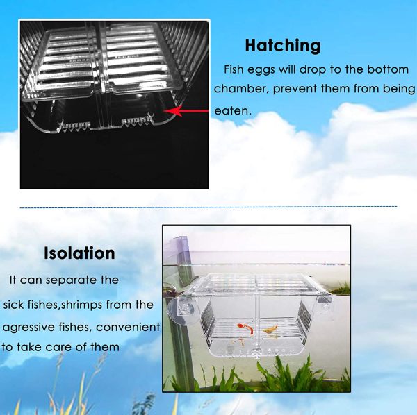 Capetsma Fish Breeding Box, Acrylic Fish Isolation Box with Suction Cups, Aquarium Acclimation Hatchery Incubator for Baby Fishes Shrimp Clownfish and Guppy. Small Size (S) - Image 4