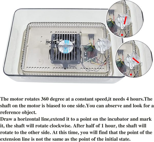 DULONG Egg Incubator Automatic 24 Eggs Incubator Auto Turner Intelligent with Temperature Control and Digital Display for Chickens Ducks Goose Birds - Image 3