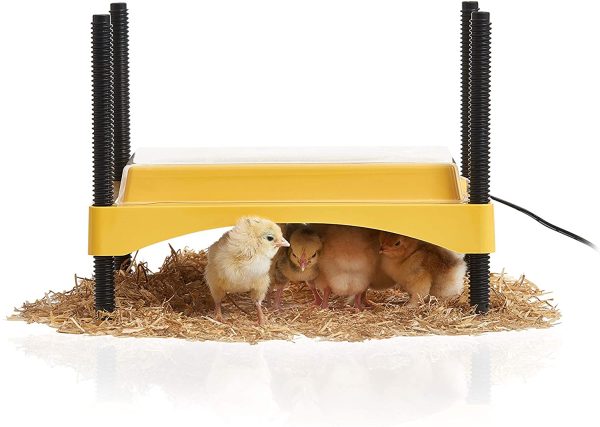 Brinsea Products Ecoglow 20 Safety 600 Brooder for Chicks Or Ducklings, Yellow/Black