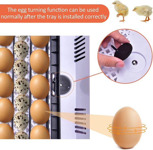 Egg Incubator, 56Eggs Digital Incubators with Fully Automatic Egg Turning and Temperature Humidity Control LED Candler Automatic Incubator Breeder for Hatching Chickens/Ducks/Goose/Quail/Birds/Pigeon - Image 7