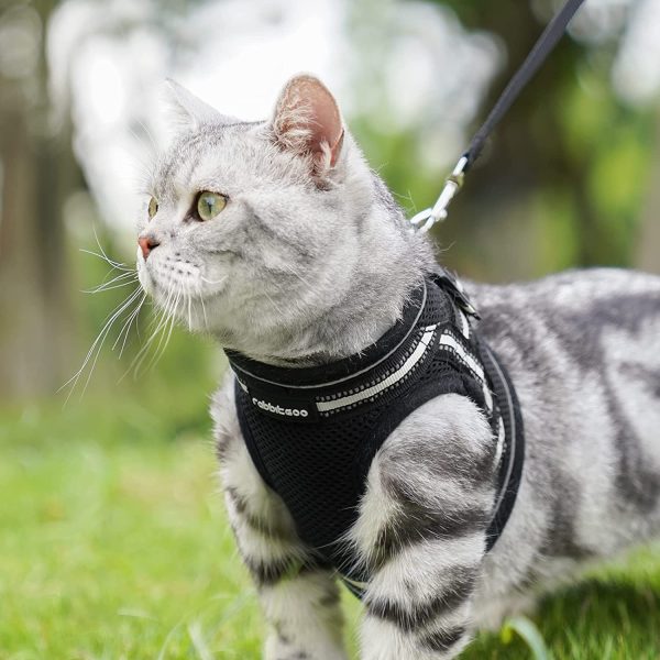 rabbitgoo Cat Harness and Leash for Walking Escape Proof, Reflective Adjustable Soft Mesh Kitten Harness for Extra Small and Small Cats, Step-in Comfortable Choke-Proof Outdoor Vest Harness with 150cm Leash and Metal Clip, Breathable Black - Image 2