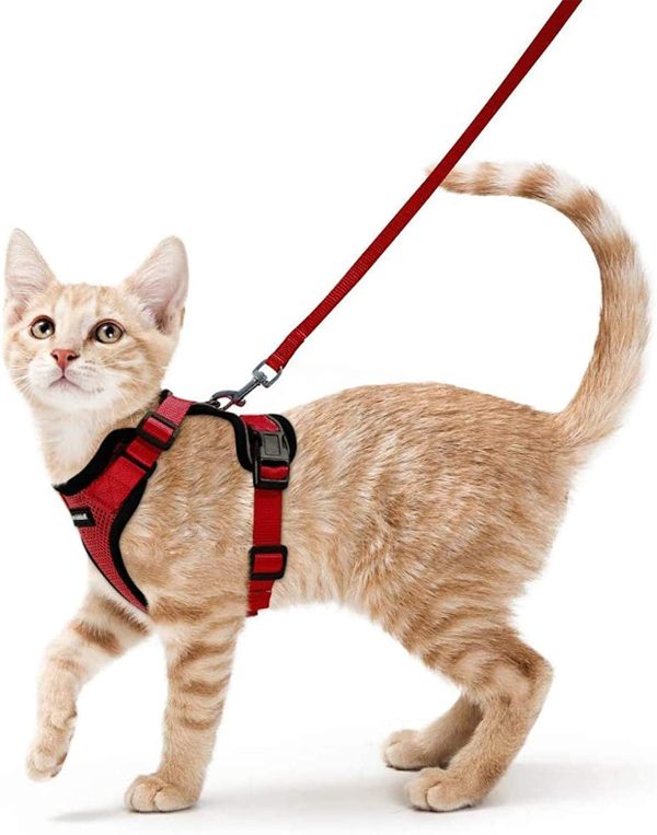 rabbitgoo Cat Harness and Leash for Walking, Escape Proof Soft Adjustable Vest Harnesses for Cats, Easy Control Breathable Reflective Strips Jacket?? - Image 4