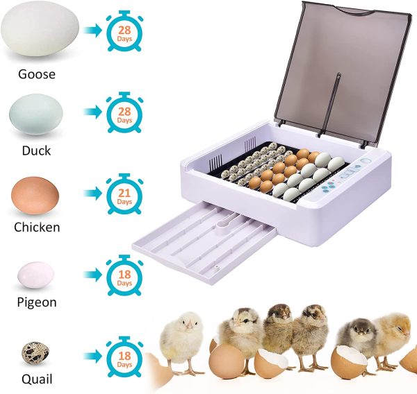 Egg Incubator, 56Eggs Digital Incubators with Fully Automatic Egg Turning and Temperature Humidity Control LED Candler Automatic Incubator Breeder for Hatching Chickens/Ducks/Goose/Quail/Birds/Pigeon - Image 6