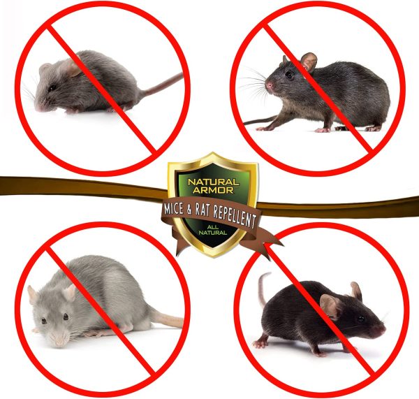 Mice & Rat Repellent. Peppermint Repellent for Mice/Mouse, Rats & Rodents. Natural Spray for Indoor & Outdoor Use. 128 OZ Gallon Refill Ready to Use - Image 6