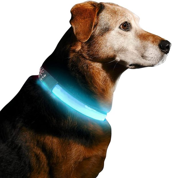 LED Dog Collar Light Up Dog Collar USB Rechargeable Waterproof,Night Dog Band with 3 Glowing Modes,Makes Your Dog Visible, Safe & Seen (Blue, S)