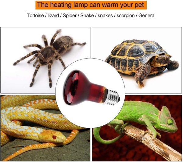 E27 Reptile Infrared Lamp, Infrared Heating Warming Lamp Light Bulb for Reptile Pet Supply, Terrarium Heat Lamps(100W)