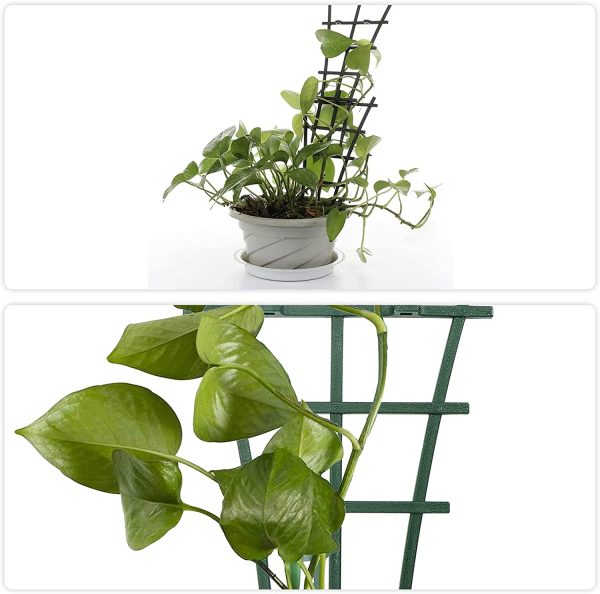 Indoor Plant Trellis WorthPlanet 6 Pcs Pot Trellis DIY Garden Support Superimposed Climbing Trellis Flower Supports for Mini Plants Potted Climbing Plants Vines W200005 - Image 3