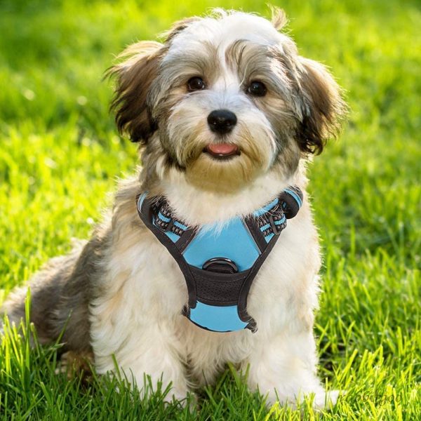 rabbitgoo Dog Harness No-Pull Pet Harness Adjustable Outdoor Pet Vest 3M Reflective Oxford Material Vest for Dogs Easy Control for Small Medium Large Dogs - Image 7