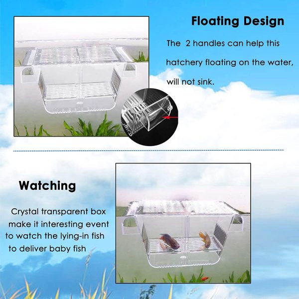 Capetsma Fish Breeding Box, Acrylic Fish Isolation Box with Suction Cups, Aquarium Acclimation Hatchery Incubator for Baby Fishes Shrimp Clownfish and Guppy. Small Size (S) - Image 6