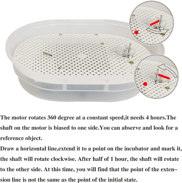 Egg Incubator Automatic 12 Eggs Incubator Auto Turner Intelligent with Temperature Control and Digital Display for Chickens Ducks Goose Birds - Image 4