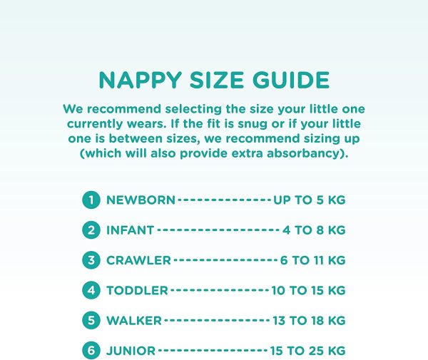 Hugs & Bubs, Size 1 Newborn nappies (up to 5kg), 224 nappies, One Month Supply