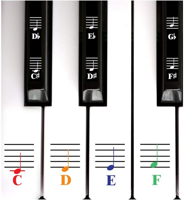 Color Piano Stickers for White and Black Keys - Image 5