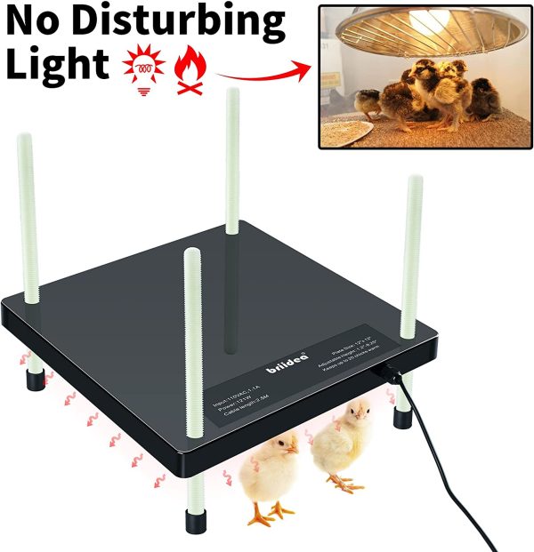 briidea Chicks Heating Plate, 12'' *12'' Chick Brooders with Adjustable Height, Keeps Up to 20 Chicks Warm, 48W, Black - Image 7