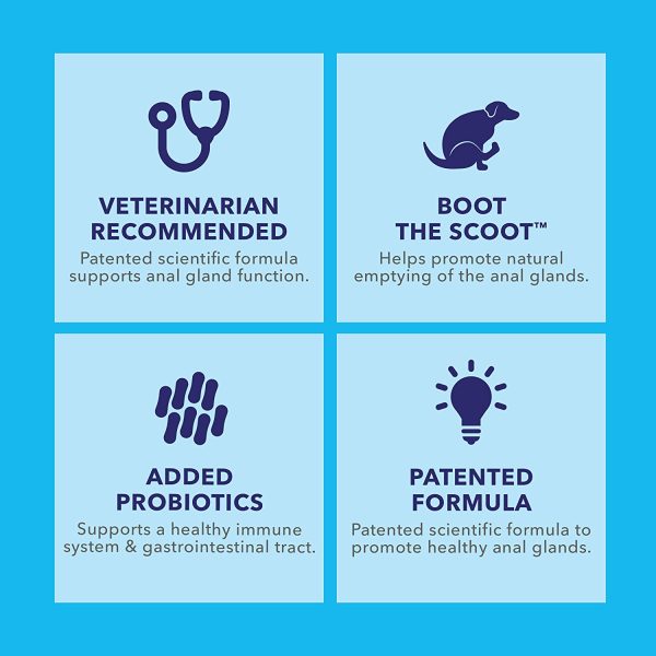 Glandex Gland Soft Chew Treats with Pumpkin for Dogs Chews with Digestive Enzymes, Probiotics Fiber Supplement for Dogs ?C - Boot The Scoot - by Vetnique Labs (Peanut Butter, 30ct) - Image 4